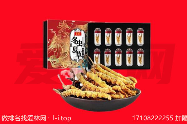 重庆璧山区回收虫草.jpg